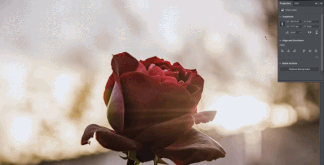 adobe开了个发布会 看完广告垃圾箱之后我觉得我也能做设计