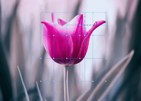 adobe开了个发布会 看完广告垃圾箱之后我觉得我也能做设计