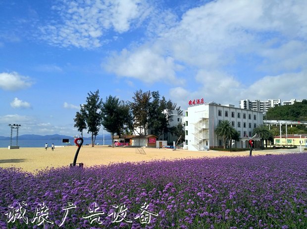 深圳市m199公交线路宣传栏厂家今天在玫瑰岸正式营运